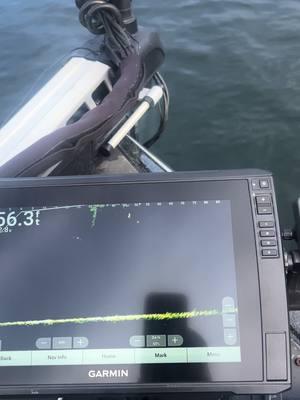 Just the best fisherman in the world doing their thing #loons #bassfishing #garmin #livescope #falconboats 