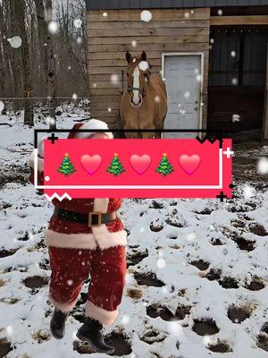 Remember the reason for the season! #zippy_julz #fypシ #tistheseason #countdowntochristmas #christmaseve #2025 #enjoythejourney #dreamchaser #genx #horses 