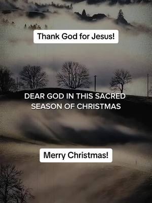 Thank God for Jesus! Merry Christmas! #jesus #thankyougod #christiantiktok #christmas 