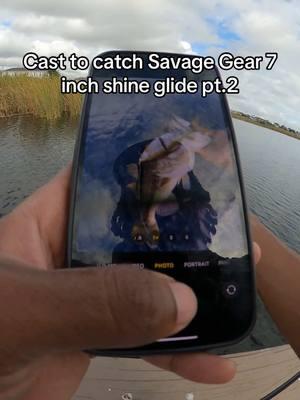 Cast to catch: Savage Gear Shine Glide  #dinksanddoinks #savagegear #fishing #gomexus #florida #casttocatch 