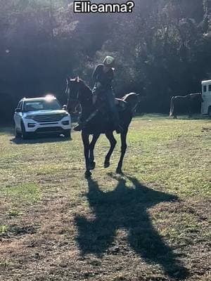 One of the number one questions i get asked about Ellieanna and apollo besides is apollo Ellieanna’s baby? To that answer no. They arent even related nor share a single same bloodlines in their paperwork. #horses #blessed #arabainhorse #thebestisyettocome #barrelracer #equestrian #barrelracing #hardworkpaysoff #thestorysofar #barrelhorse #horse #barrelracer #barrelracing 