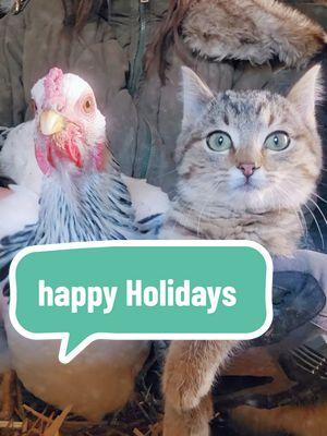 Happy Holidays, punks. #soup #soupforthesoul #christmas #holiday #souptok #soupthecat #cattok #catsoftiktok #desensitizing #dance #dancing #chicken #kitten #kittentok #punk #emo #elderemo #millenial #genx #fallinginreverse 