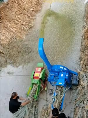 Comparative test of two types of grass cutters #grasscutter #haycutter #chaffcutter #grassmill #grass #forage #haymill #cowfeed #cowfeeding #feedgranulator #crusher #sheepfeed 