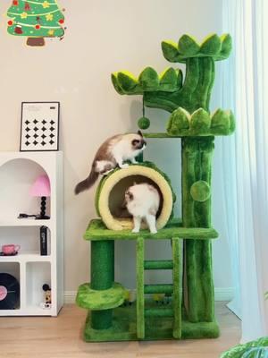 Large Cat Tree Solid Wood Tree Hole Cat Climbing Frame 🥰🥰🥰 🌎Worldwide shipping 🏡🛒 homepage link to place an order🔗: www.kzlaa.com—Cat Tree##cats #catsofinstagram #catlover #catlife #catlovers #cats_of_world #catinstagram #fyp #for #foryou #kzlaa #catvideos #catvilla #catinstagram #cattree #tree 