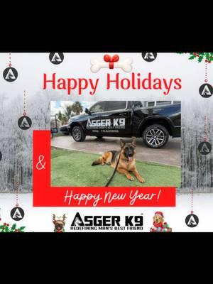 Happy holidays from from us @ asgerk9 to you all #DogTraining #RealWorldTraining #explorepage 