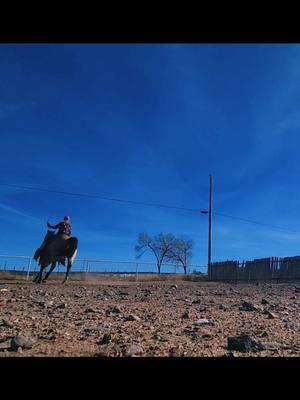 Little attitude  #rockinkhorses #biscuit #buckskinhorse #buckskinmare #problemhorse #horsetraining #arena #SpringervilleAZ #Arizona #azhorselife #random #randomvideo #FNX #FNXelite #fnxfit #fnxambassador #hygainfeeds 