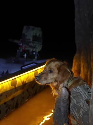 Standing on bidness #achunt #watercowboys #reaperboats #smokinquack #ellie #rixeyoutdoors #duckhunting #arkansas #fieldgolden #noelindustries 