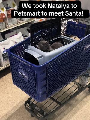 Natalya meets Santa! Thanks for hosting this again this year @PetSmart. We love having our sweet girl go to your store. #cat #catmom #pets #petsmart #petsmartsantaphotos #graycat #catlover 