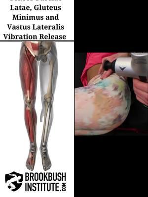 🔴 Tensor Fasciae Latae, Gluteus Minimus and Vastus Lateralis Vibration Release Video clip from the online course "Vibration Release Technique: Lower Body": The course counts for 2 credits toward the Brookbush Institute certifications and is pre-approved for continuing education. Watch the full video and take the course! Go to our profile 👉 @BrookbushInstitute Click on linkin.bio/brookbushinstitute Choose this image 🔵 Brookbush Institute offers: • Certified Personal Trainer (CPT) Certification • Human Movement Specialist (HMS) Certification • Integrated Manual Therapist (IMT) Certification • 180+ CEC-approved courses • Courses on desktop or mobile • 500+ videos & 500+ articles • New features and content added weekly! 🔴 Completing courses and certifications has never been easier, and the quality of courses has never been higher! #humanmovementspecialist #effectivetreatment #athletictrainer #correctiveexercisecertification #fitnesscertification #correctiveexercisespecialist #correctiveexercise #rehab #physicaltherapy #physicaltherapist #humanmovementscience #sportsmedicine #sportsperformance #posturecorrection #performancecoach