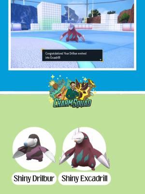 Here’s the BEST way to find shiny Drilbur and evolve it into a shiny Excadrill in Pokémon Scarlet and Violet: The Indigo Disk WITHOUT using Herba Mystica!🤩✨ #shinydrilbur #drilbur #shinyexcadrill #excadrill #shinypokemon #shinyhunting #pokemonscarletandviolet #pokemonscarlet #pokemonscarletviolet #pokemonviolet #charmsquad #thecharmsquad #shinytutorial #theindigodisk #indigodisk 