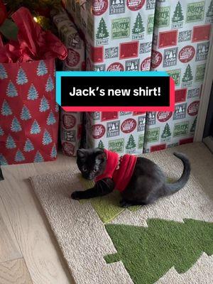 When you try to level up your cat’s fashion game but he’s stuck on the loading screen… 🐱👕” #CatFails #StylishKitty #PetProblems #CatsOfTikTok #CatComedy #PetFashion #FunnyAnimals