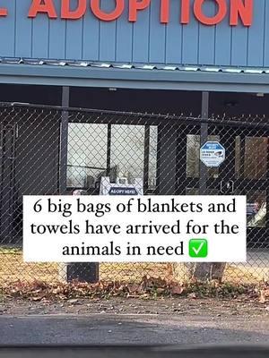 If you are a rescue group or shelter who needs my help promoting a dog or need supplies let me know. #tistheseason #giveback #dosomethinggood #payitforward #payitforwardchallenge #rescue #shelterdog #fyp #viral #christmas #chritmasgift #givebacktothecommunity 