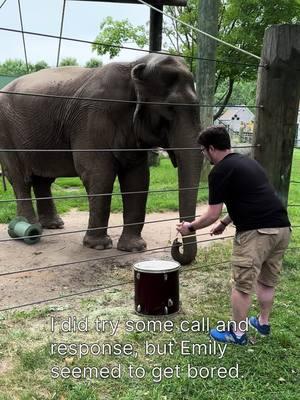 You keep asking for more Emily videos, so here you go! Happy holidays, y’all! #elephant #drum #drums #drumming #wildlifephotography #zoo #zoos #zoopics #zoophotography #animal #animals #animalphotography #animalpics #zooanimal  #zooanimals #animalphotographers #animalsofinstagram #animallover #animallovers #savewhatyoulove 