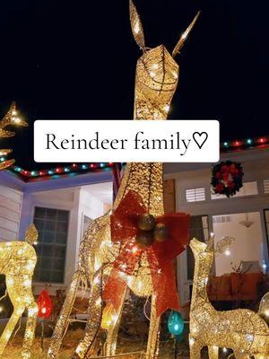 Nunca es tarde para decorar tu yarda navideña 🎄✨️estoy esperando la nieve para ver lo bello que se van a ver❄️🎄🦌#reindeer #reindeerfamily #decorreindeerfamily #reindeers  #lightupchristmas  #indoorlooks #outdoorlooks #christmasoutdoordecor #christmasoutdoorlights 