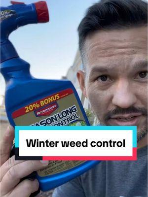 Winter lawn weed control tips #lawncare #lawnmaintenance #diylawncare Join my LIVE this saturday as we chat Spring 2025 lawn goals! 