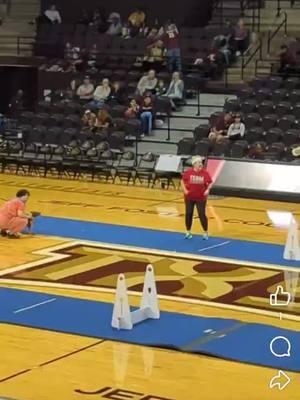 Sousa joined Rush flyball team with his 'Grandma' Rachel @laceaht for the Texas State basketball game half time show. He loves the game, and had lots of fun! Such a cool opportunity! Goofy boy sure loves his flyball!  #americanhairlessterrier #showdogsoftiktok #sportdogsoftiktok #flyballdogsoftiktok 