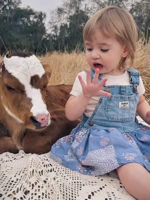 Adorable expression every time she meets a baby cow #cow #brucethecow #farm #cowtiktok #viral 