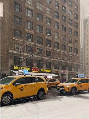 It's your first time in New York and it's snowing on Christmas ❄️🎄 #newyork #christmas #christmas2024 #xmas #snow #2025 #ny #nyc #centralparknyc 