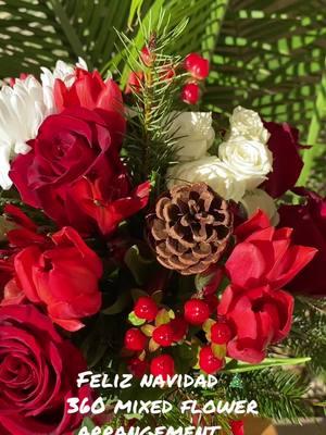 Im ready for vase arrangements 🌹🫶🏻😍. Expanding my knowledge is the best feeling. Christmas flower mix 🌲🌹#flowers #ramoflowers #florist #flores #bloomingimage #ramo #bouquets #floristsoftiktok #mixedflowers #vasearrangement #vaseflowers 