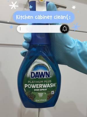 Day 11 of 12 days of christmasss🎄❤️ this was my first time filming a cabinet clean and loved it😍 thank you @CleaningWithMei 🫧 for the idea💕 #dawnpowerwash #dawndishsoap #thecleanspace #cabinetcleaning #scrubbing #scrubbingasmr #kitchencleaning #asmrcleaning #sudsycleaning #CleanTok #cleaningtiktok #cleaningmotivation #cleaningtherapy4u #howtoclean #cleaning #cleaningasmr 