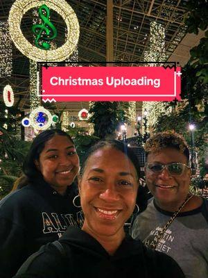 It’s a winter wonderland at the Gaylord! Getting into the Christmas spirit is easy when you spend time in this festive environment. #christmastiktok #christmas #merrychristmas #festivevibes #christmascountdown2024 #ttatl