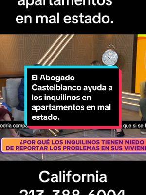 El abogado Castelblanco comparte cómo ayuda a los inquilinos en apartamentos en mal estado en California- llame hoy. 213-388-6004 #castelblancolawgroup #abogados #inquilinos #cucarachas #foryoupage #abogadodevivienda #abogadoalquiler #abogado #tenantsrightsattorney #monoxidodecarbono #abogadodeaccidentes #abogadodeinmigracion #plagas #derechos #leyes #chinches 