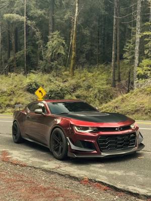 Slowpars 🚮🫵🏻 #camaro #camarozl1 #camarozl1 #camarozl11le #zl1 #hellcat #zl11le #zl1camaro #6thgencamaro #chevrolet #chevroletcamaro #chevy #camaros #musclecar #foryou #fyp