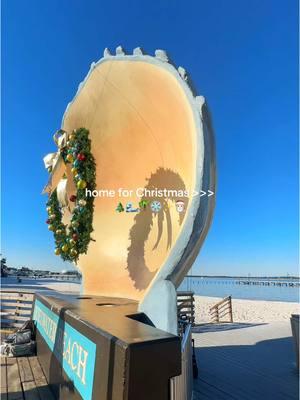 when home is the beach 🥹🩵 #beach #christmas #christmaseve #beachychristmas #coastalchristmas #florida #floridachristmas #winter #winterinflorida #floridawinter 