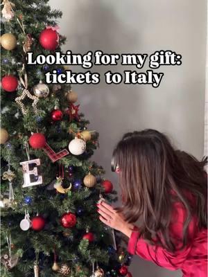 My only wish list is flights to Italy and didn’t find it under my tree!  #christmasseason #christmashumor #travelmeme #travelmemes #italyhumor #italylovers #italyaddict #italy2025. 