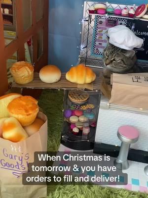 Speedy Kneading! #merrychristmas #Christmas #Baking #Bakery #Cat #ChefGary #Chef #Pan