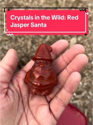 Crystals in the Wild: Red Jasper Santa #redjasper #santa #crystaltok 