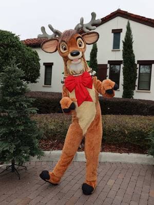 Dasher is getting ready for his big flight this evening! He stopped by the Golden Oak Reindeer Run 5K to warm up! #Dasher #DisneyChristmas #DisneyReindeer #ReindeerRun #GoldenOak #GoldenOakDisney #ReindeerRun5K #Disney Holidays #DisneyChristmasEve #ChristmasEve #Christmas2024 #MerryChristmas2024 #WDW #WaltDisneyWorld #MickeysOnceUponaChristmastimeParade #RareCharacters #RareCharacter #サンタクロース