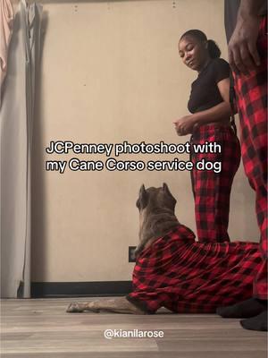 this trend but with my service dog🐺❤️🎄 #christmas #jcpenney #photoshoot #canecorsoservicedog #canecorso #canecorsoitaliano #servicedog #fy #canecorsopuppy #couple #dogtok #jcpenneyphotoshoot #brindledog #jcpenneyportraits #disabled #fyp #servicedogintraining #koracorso @jcpenneyportraits @JCPenney 