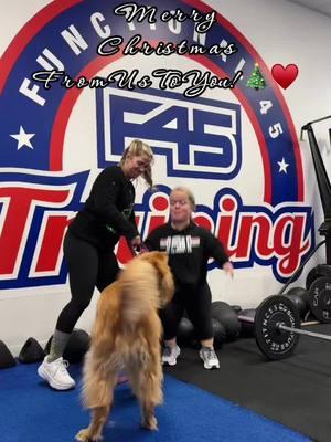 Merry Christmas ♥️ ft. our F45 mascot Kahlúa 🐾 @F45TrainingRMV #f45training #f45 #happyholidays 