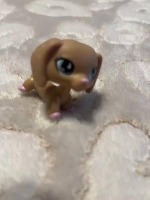 YES ! #littlepetshopscollection #littlepetshop #rare