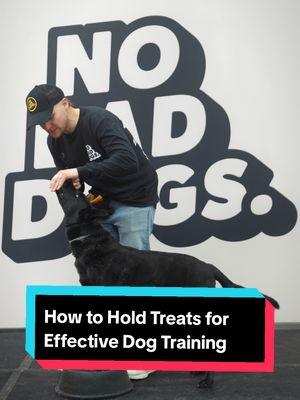 Are you holding your training treats the right way? Proper technique can make all the difference in keeping your dog engaged and focused during training. No Bad Dog Nubz are designed to let your dog taste without overfeeding, creating the perfect balance of frustration and motivation. These 100% organic beef liver treats are cubed for precision, helping you reward effectively without wasting treats or losing engagement. Discover the right way to train smarter. #DogTraining #NoBadDogs #DogTreats #PositiveReinforcement #DogBehavior#DogTrainer