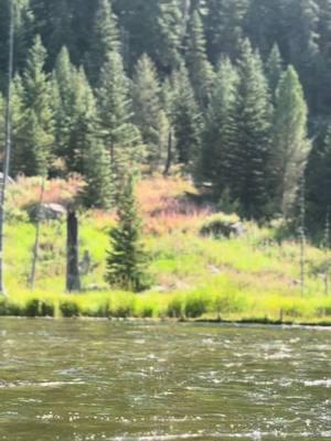 Bringing me along with you has been the greatest gift 🎁🎣❤️@Libertarianwaterboy  #merryfishmas #flyfishing #dontquityourdaydreams #couplegoals #flyfishingaddict #browntrout #onelastcast #utah #forevergrateful #flyfishingtiktok #oregon #river #rainbowtrout #dirtroads #montana 