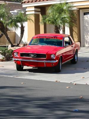 From age 16-21 #fyp #66mustang #oldschool #mustang #carsoftiktoks #1966 #smallblock #s550mustang #mustanglifestyle #contentcreator 