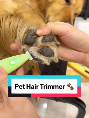 Pet Hair Trimmer 🐾  #pethairremoval #paw #dogproducts #dogs 