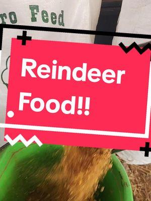 Are you ready for santa? let's make reindeer food! #reindeer #Christmas #christmaseve  #3cdreamteam ##3cclinics ##showcattle #showsteer ##showpigs #showgoats #showlambs #stockshowkids #holiday #1moresleep #merrychristmas #feliznavidad 