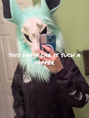 🧍 #furryfandom #furry #furrytiktok #furrycommunity #fyp #nyxtheskulldragon #cat 