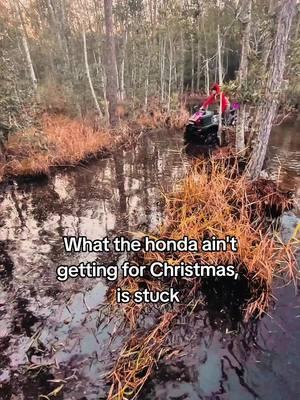 ✨Merry Christmas y'all✨🎄 Not posting tomorrow bc it's a family day!  #foryou #fyp #hondagang #offroadtiktok #atvlifestyle #22offroad #fuelwheels #aztex #highlifter #superatv #vesselpowersports #CapCut 