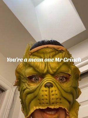 You're a mean one Mr Grinch #christmas #grinch #costume 