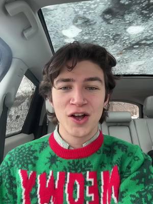 A christmas episode #vermont #vermonttiktok #vermontcheck #uvm #massachusetts #massachusettscheck #newengland #christmas #merrychristmas #thegrinch 