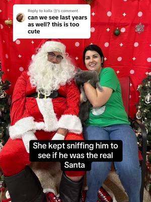 Replying to @kalla :)) This is last year’s pictures. She kept sniffing him then when I tried to get a picture without me she wanted to run away. #cat #catmom #petsmart #petsmartsantaphotos #catlover #graycat 