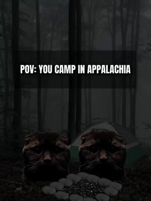 POV: You Camp in Appalachia #appalachia #appalachianmountains #scary #horror 