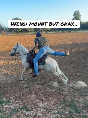 do the stankyyy leg... So anyways I may need to reconsider who I am riding with 🤣🫶🏼 but that pony do be letting you mount like that now 😂@Augustus @wyatt.johnston #horsetraining #roundpenwork #barrelracer #colts #fyp #foryou #christmaseve #ponytok #ponystarting #funnyhorses #stankyleg 