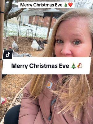 Merry Christmas Eve from my flock to yours! #thehappychickcoop #backyardflock #merrychristmaseve #collectingeggs 