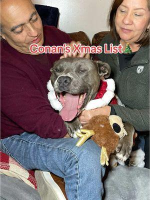 Conan’s Christmas 🎄❤️✨ So thankful that this baby boy is safe and home with his parents. The best family🥰 If you’d like to get Conan a xmas toy or treat, I created a wishlist for him! You can add anything you think he’d lile or pick some of his fave food and treats from the list✨ I can’t post a link on tik tok (or I don’t know how to) but the link to Conan’s amazon wish list will be posted on my Instagram story and the first highlight: @shirascottastrof  #grateful #Love #christmas #FYP #dontbullymybreed #conan 