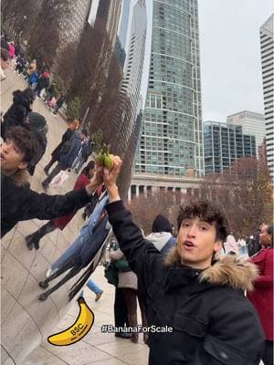 Measuring the windy city with a banana! Which city should I measure next with a banana? @BananaS31_bsc #bananaforscale #fyp #4u 